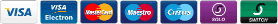 Russian Kyzyl Payment icon